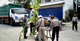Pohon Pisang yang Ditanam di Jalan Rusak Babat-Lamongan Dibersihkan
