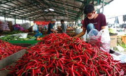 Harga Cabai Naik Jelang Lebaran Gairahkan Pedagang PIOS
