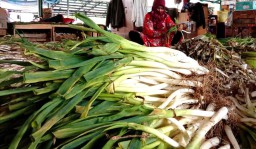 Jelang Lebaran, Stok Bawang Prei di PIOS Berlimpah