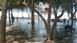 Banjir Rob Pesisir Selatan Banyuwangi, BMKG: Waspada Gelombang Tinggi