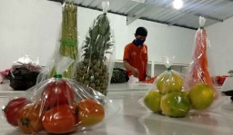 Gunakan Packing, Sayur Segar dan Buah carisayur.com Lebih Higienis