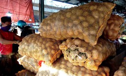 Kentang asal Pujon Malang Jadi Favorit di PIOS