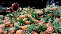 Lebih Besar dan Rasanya Manis, Buah Nanas di PIOS Diburu Pengunjung