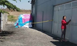 Kisah Via Vallen Beli Mobil Impian Hingga Dibakar Fans