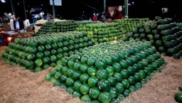 Panen Raya dari Jatim, Stok Buah Semangka di PIOS Melimpah