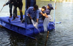 Peduli Lingkungan, NasDem Kota Probolinggo Tebarkan Ribuan Benih Ikan