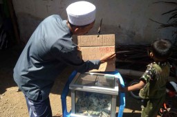 Sapi Berkepala Dua, Pemilik Pasang Kotak Amal Pembangunan Masjid