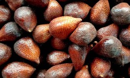 Manisnya Salak asal Banjarnegara di PIOS, 5 Kuintal Ludes per Hari