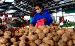 Lapak di PIOS ini Sediakan Kentang Berbagai Ukuran