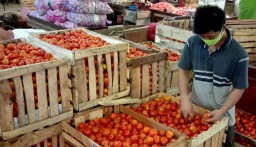 Selektif, Pedagang PIOS Datangkan Tomat Super dari Petani di Jatim