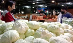 Mulai Bangkit, Pedagang Kubis Segar di PIOS Penuhi Pengusaha Kuliner