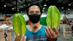 Belimbing Blitar di PIOS Jadi Favorit Pelanggan