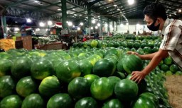 Semangka Tanpa Biji dari Banyuwangi 'Banjiri' PIOS