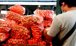 Penjualan Wortel di PIOS Tembus Belasan Ton Setiap Hari