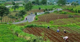 Krisis Air Lahan Pertanian, Kementan Bakal Bangun Embung di Kota Batu