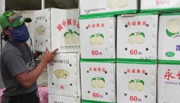 Buah Pir Impor Melimpah di Pasar Induk Osowilangun Surabaya