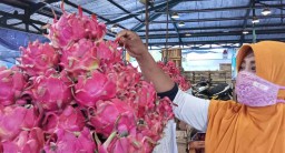 Berkah Bulan Maulid Nabi Bagi Para Pedagang di PIOS