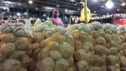 Kubis Segar dari PIOS Penuhi Kebutuhan Warga Surabaya Raya