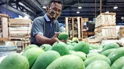 Paling Laris, Mangga Harum Manis di PIOS Diburu Pelanggan