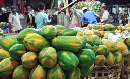 Para Pedagang Buah di PIOS Jadi Langganan Suplier Supermarket