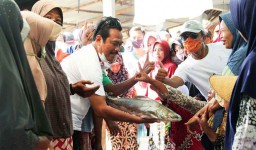 Tingkatkan Kesejahteraan Nelayan, QA akan Bentuk BUMD Perikanan