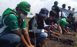 Ratusan Bonek Tanam Pohon Bakau di Pantai Permata Probolinggo
