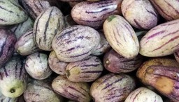 Pepino, Buah Bermanfaat Bagi Kesehatan Tersedia di PIOS