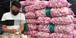 Antisipasi Libur Nataru, Pedagang PIOS Datangkan Bawang Putih Impor