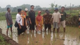 Yoko-Nisa Berbaur dan Serap Aspirasi Petani di Pacet Mojokerto