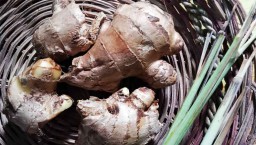 Selama Pandemi Covid-19, Harga Jahe Lokal di PIOS Stabil