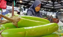 Bermanfaat untuk Kecantikan Kulit, Terong di PIOS Diburu Pelanggan