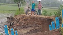Hujan Deras, 5 Desa di Mojokerto Terendam Banjir hingga Jembatan Putus