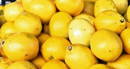 Berwarna Kuning Cerah, Lemon asal Jombang di PIOS Diburu Pelanggan