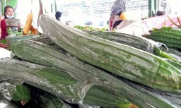 Jamin Kesegaran, Pedagang PIOS Jual Gambas yang Terbungkus Plastik
