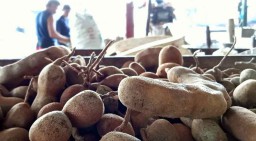 Asam Jawa, Bumbu Dapur dengan Khasiat Obat Herbal Tersedia di PIOS