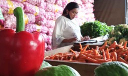 Aneka Jenis Paprika Berkualitas dari Petani Batu Melimpah di PIOS