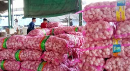 Jangan Khawatir, Harga Bawang Putih di PIOS Masih Stabil