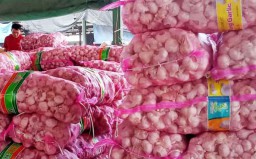 Jelang Lebaran, Harga Bawang Putih di PIOS Stabil