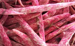 Hore! Kacang Merah yang Baik untuk Kesehatan Tersedia di PIOS