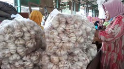 Harga Bawang Putih di PIOS Diprediksi Melambung Jelang Ramadan