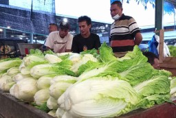 Pasokan dari Petani Tersendat, Harga Sawi Putih di PIOS Naik
