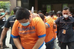 Pengiriman 33 Ribu Benih Lobster Ilegal Senilai Rp 5 Miliar Digagalkan