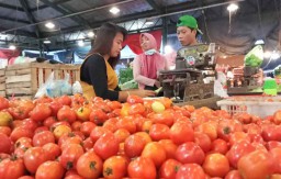 Pasokan Buah Tomat Belum Terganggu, Harga di PIOS Kembali Stabil