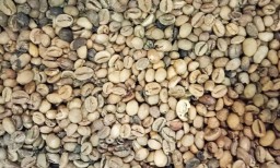 Penuhi Permintaan Pelanggan, Pedagang di PIOS Juga Menjual Biji Kopi