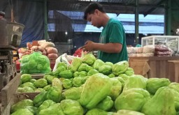 Penuhi Permintaan Pelanggan, Pedagang PIOS Datangkan Labu Siam dari Bali