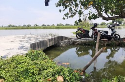 Viral Jembatan Desa di Gresik Dibangun dengan Dana Besar, Begini Faktanya