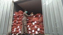 Ratusan Ton Jahe Merah asal India dan Myanmar Dimusnahkan di Mojokerto