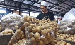 Kentang Segar Berbagai Ukuran Tersedia di Pasar Induk Osowilangun Surabaya