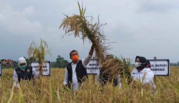 Serap Hasil Panen Petani, Bupati Sugiri akan Ganti Tunjangan ASN dengan Beras