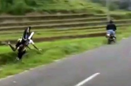 Viral Video Joki Balap Motor Liar di Trawas Mojokerto Terjun ke Sawah
